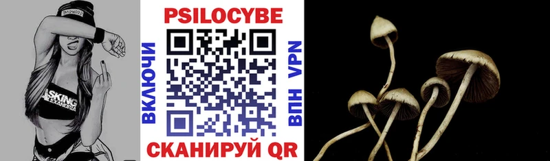 Псилоцибиновые грибы прущие грибы  Купить закладки  Бородино 