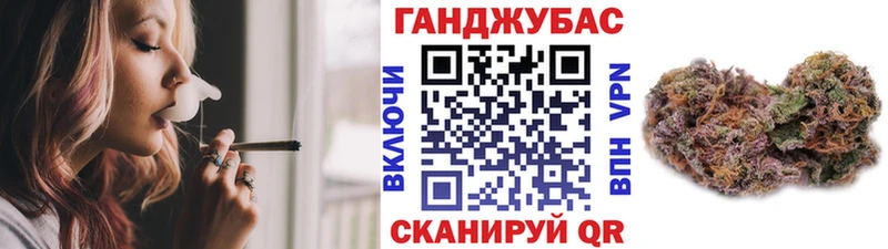 Купить где  Бородино  Марихуана сатива 